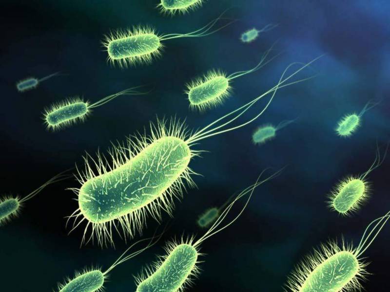 Почему бактерии нас победили?